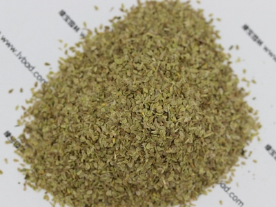 雛菊種子