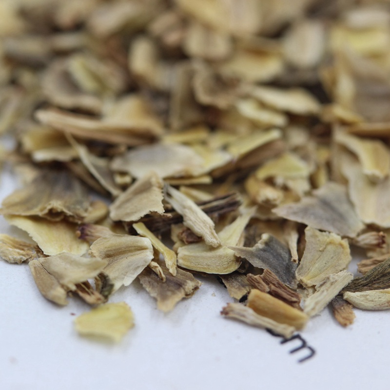 花環(huán)菊