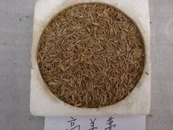 微信圖片_20200513164255.jpg