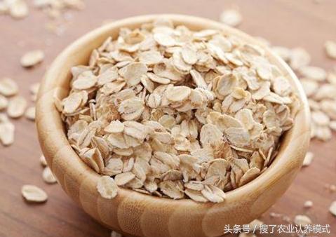 燕麥種子發(fā)芽率低怎么辦？怎么樣才能提高燕麥種子的發(fā)芽率？