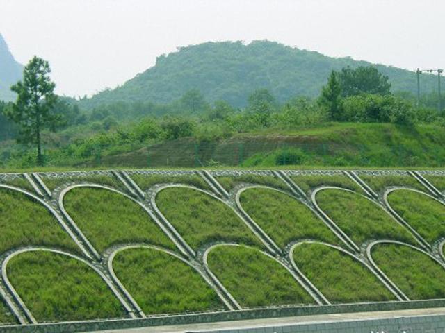 生命力頑強(qiáng)、耐踐踏又美觀的狗牙根草坪
