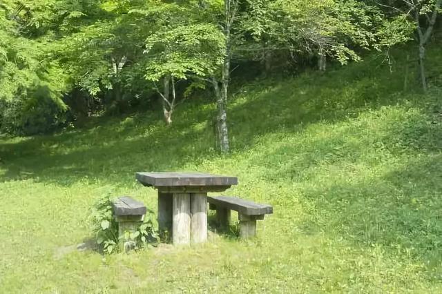 草坪有哪幾種分類你知道嗎？