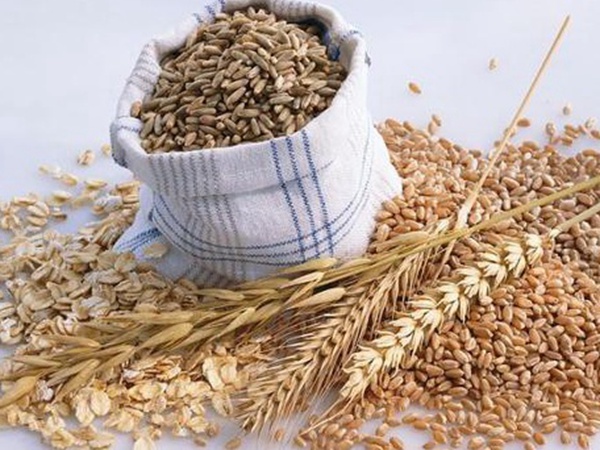 燕麥種植的生長環(huán)境是怎樣的？有什么需要注意的？