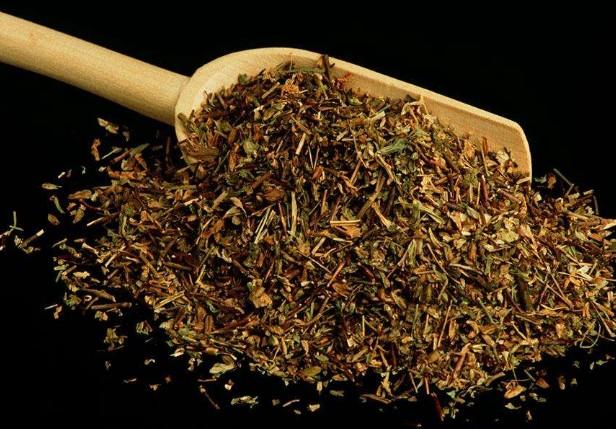 要想小米草種的好，要學(xué)會種植的技巧與方法