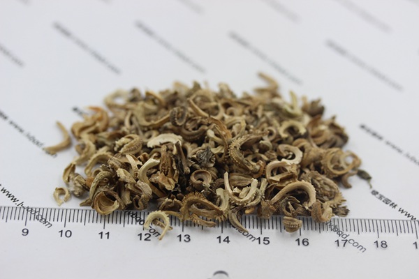 金盞菊種子