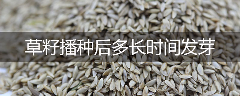 草籽播種后多長時間發(fā)芽