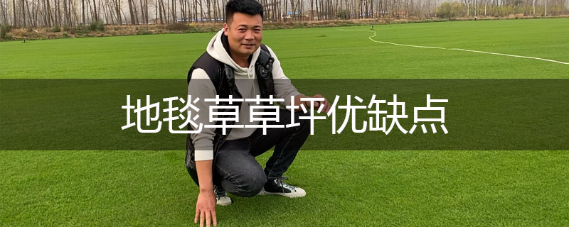 地毯草草坪優(yōu)缺點 地毯草草坪優(yōu)缺點
