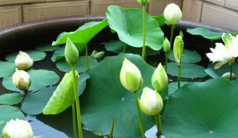 萬聯(lián)1.jpg