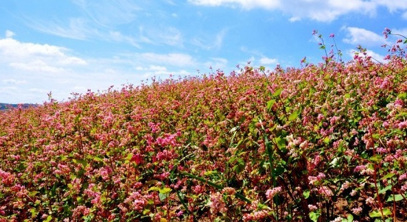 8T)FY_I%(W_S357ONTC[A6C.jpg