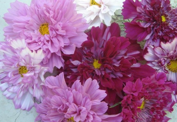 _`99YEDC@6~(Q}L7~@%I)9R.jpg
