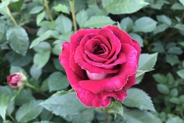 AO58T8AZMQ7NQI0`2JF__H0.jpg