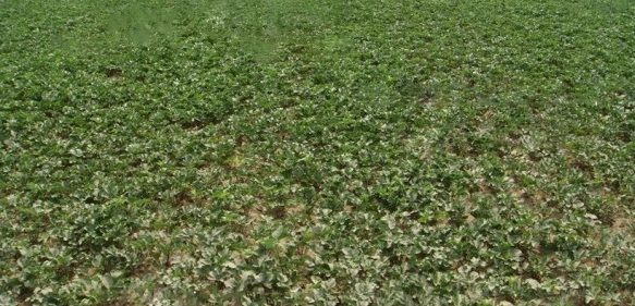 J40D%}%44UEXAPB~[8MF}25.jpg