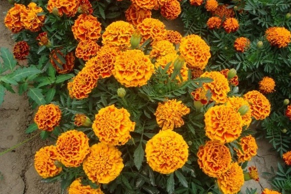 1`ARTQM0F%NNILR}VQ3I`H9.jpg