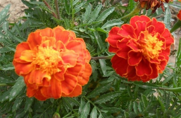 16LV[WLX%DTI6M)H_2{[N9C.jpg