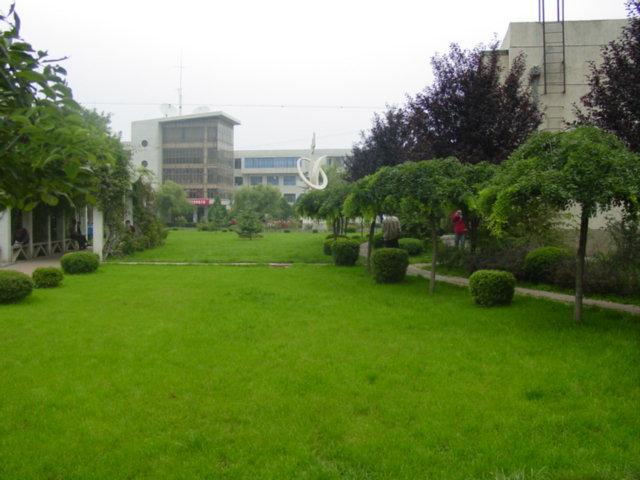 1630077558225930.jpg