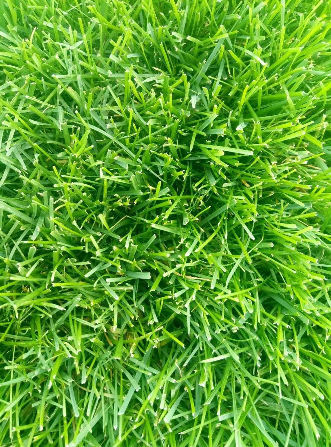 1630077558239211.jpg