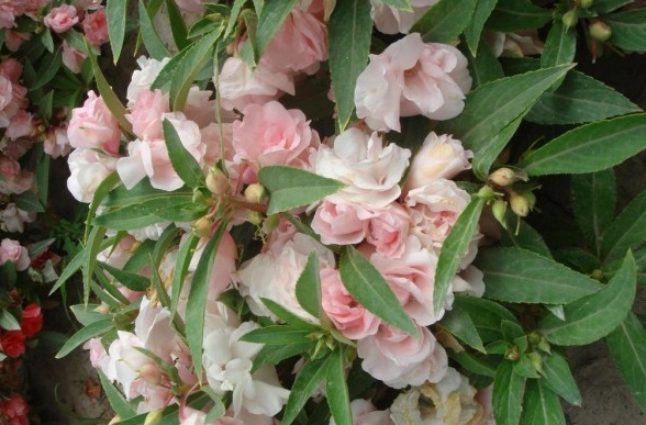 UC20J~A1PWX}%_U639QT3KN.jpg