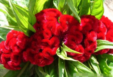 DYG4[4BUD{HT7U5O[1(E_3F.jpg