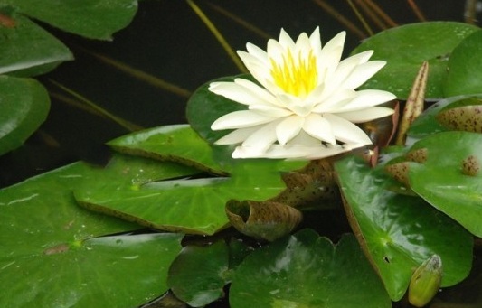 6IGA1H89ZPWHWJ(NTAF)[ZW.jpg