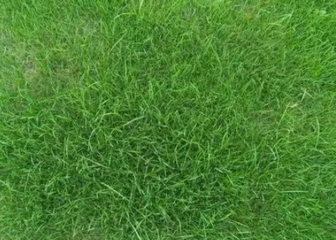 1631748941886329.jpg