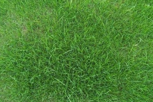 1631751350832037.jpg
