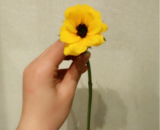 image.jpg