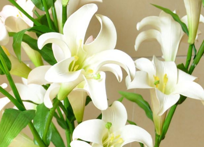 百合花111.jpg