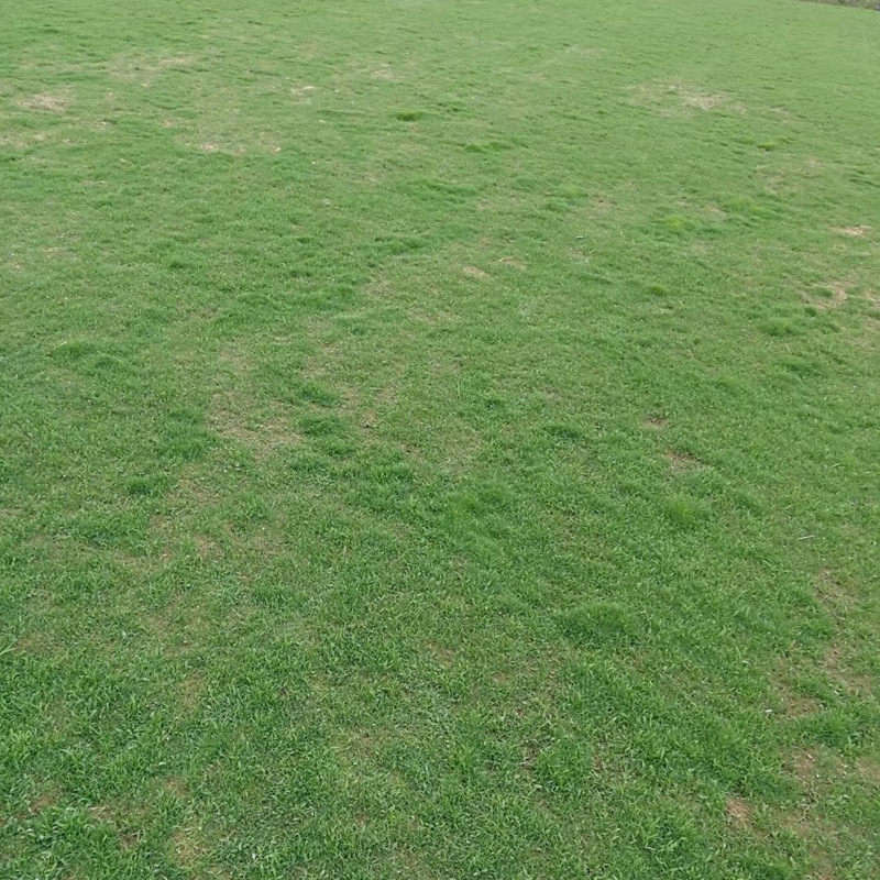 1650205277125153.jpg