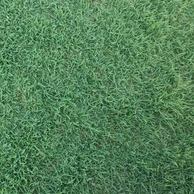 1650273209470975.jpg